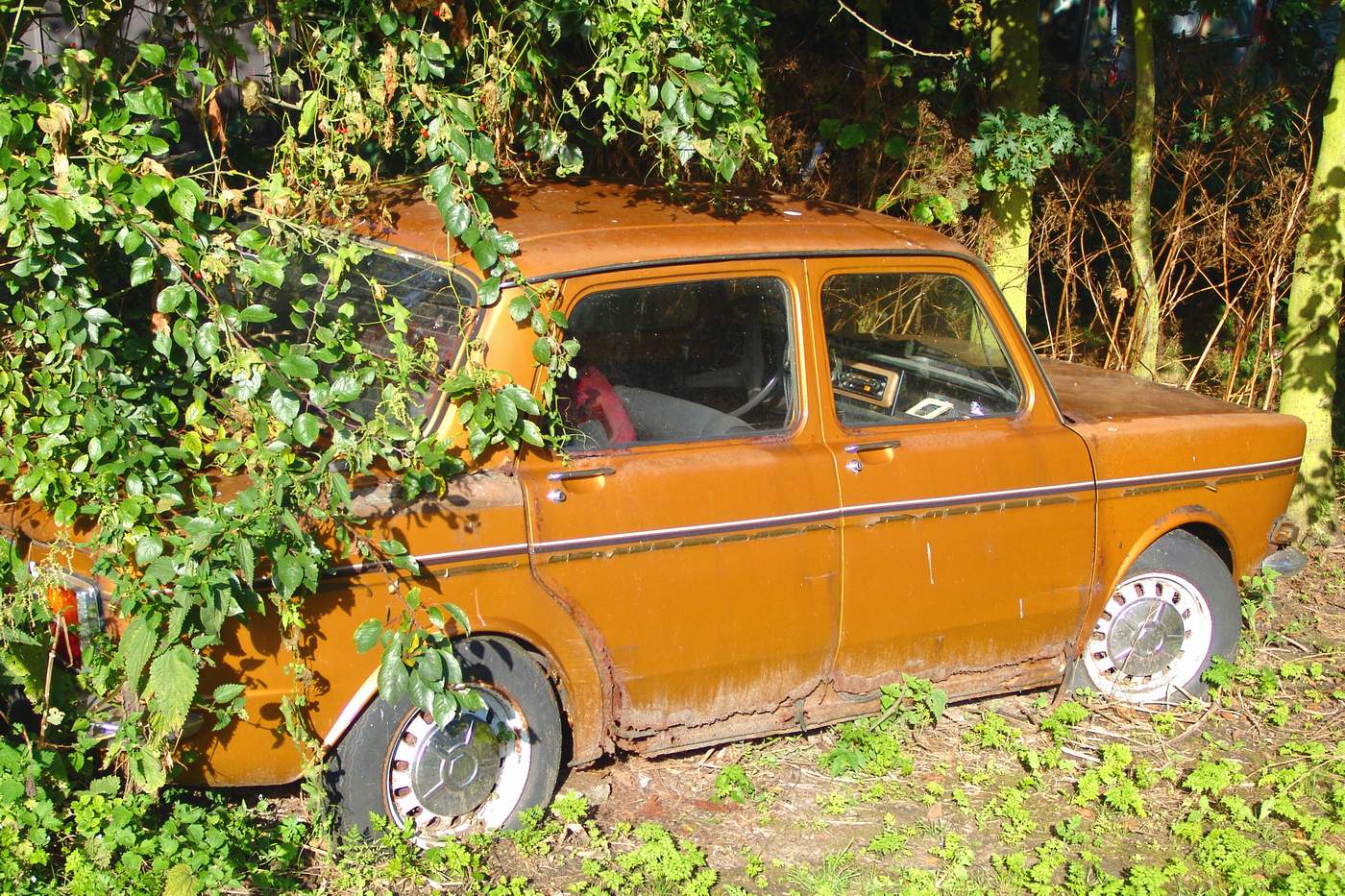 Orange car