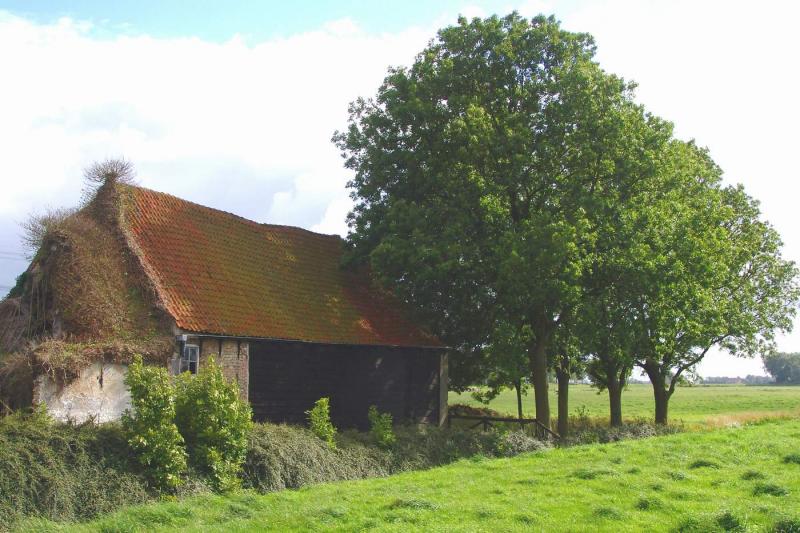 Farm with trees