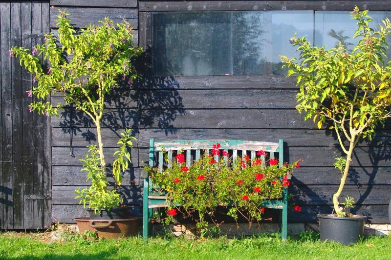 Bench with plants