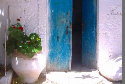 Blue door with vase