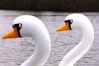 Two artificial swans