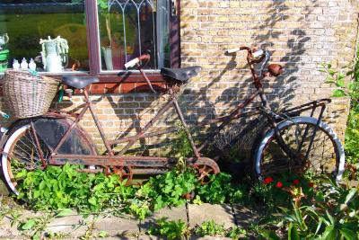 Rusted duo-bike