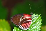 DSC07946a w.JPG