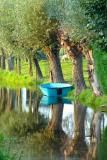 Blue boat