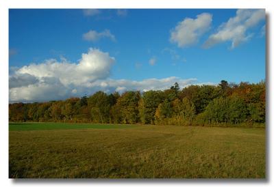 DSC_0763pb.jpg