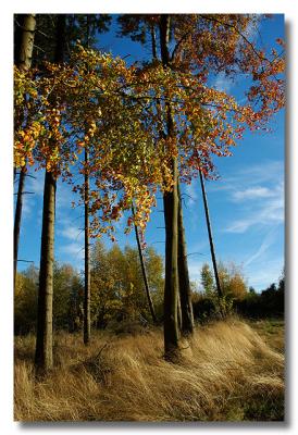 DSC_0826pb.jpg