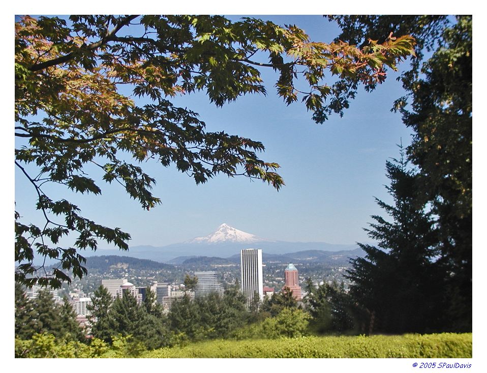 AS VIEWED FROM DOWNTOWN PORTLAND