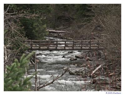 A TREE FELL ACROSS THE STREAM . . .