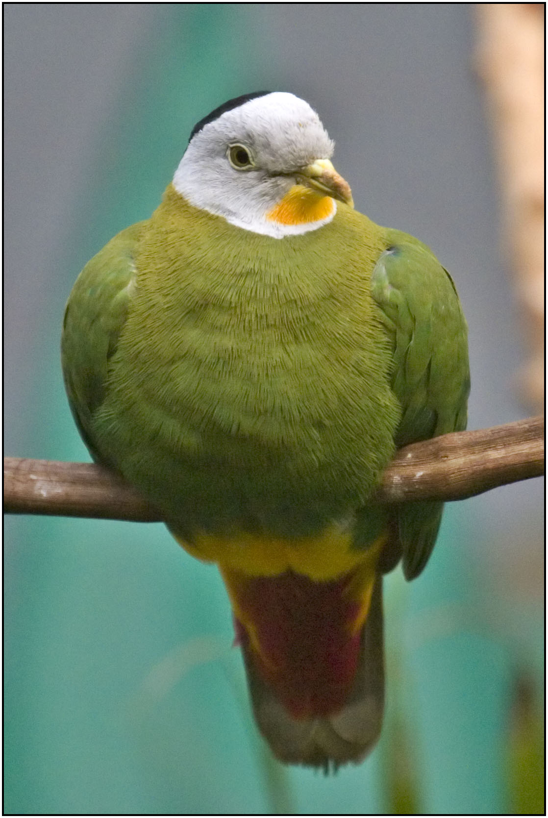 CRW_8783.jpg