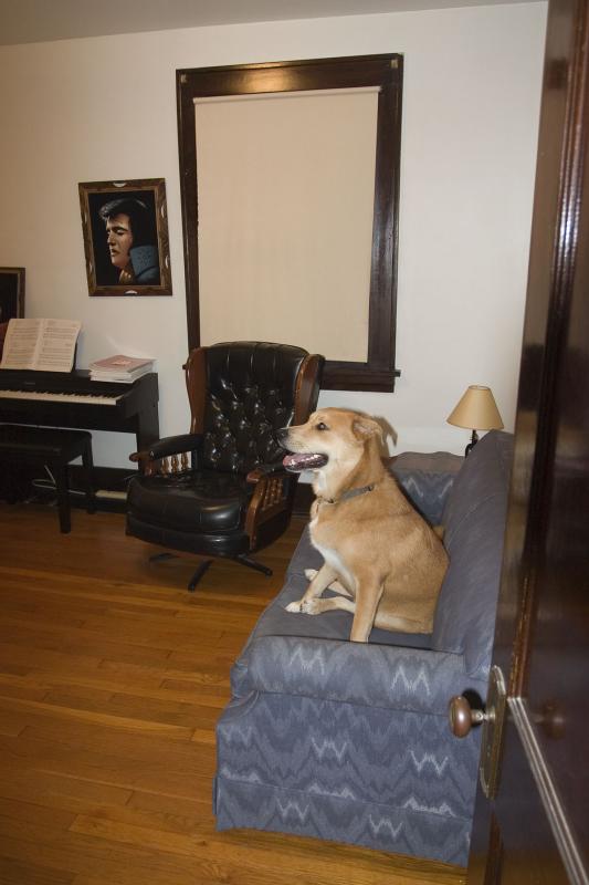 CRW_8685.jpg