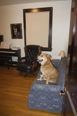 CRW_8685.jpg
