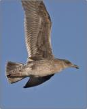 CRW_5942b.jpg