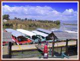 Boats leaving for island...