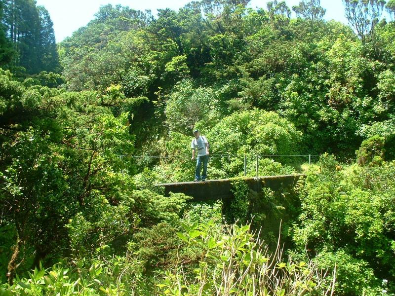 Levada