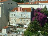 House and flowers