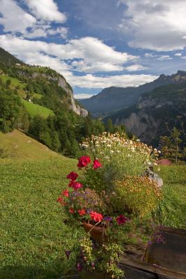 Flower Trough - 1024.jpg