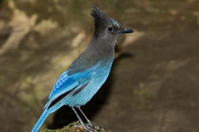 DSC_9842.jpg
