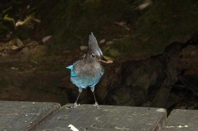 DSC_9879.jpg