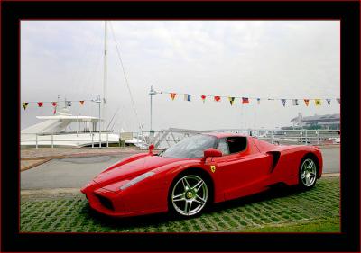 Enzo Marina 4