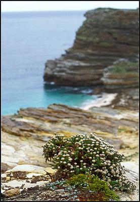 Cape of Good Hope