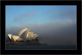 Opera House, Morning Fog 1