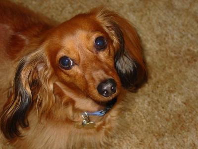v3/57/607557/3/51230399.abby3.jpg