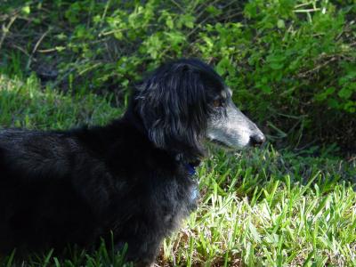 v3/57/607557/3/51230506.binky.jpg