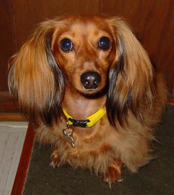 v3/57/607557/3/51236286.abby3.jpg