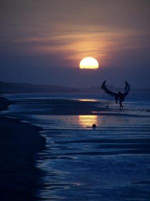 kite surfer