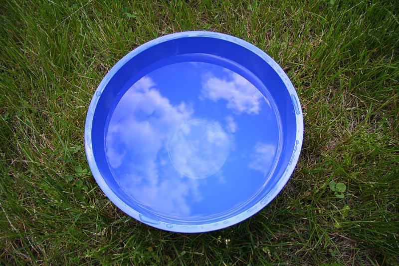 Sky Blue Bowl*