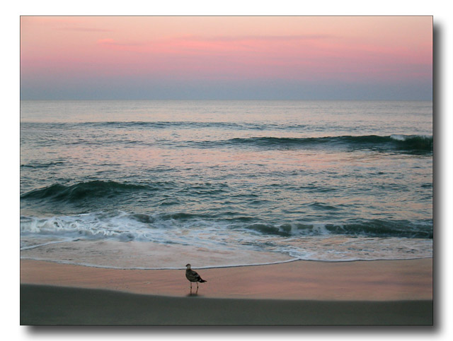 Sunset Reflections*