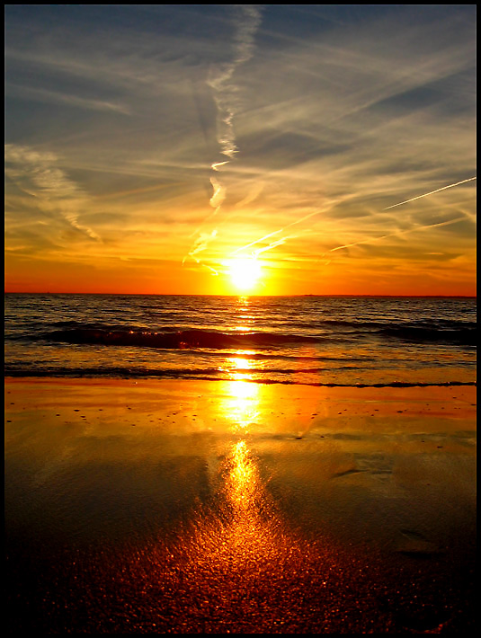 Golden Surf*