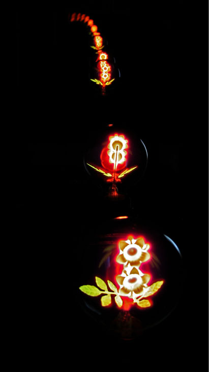 Electrical Flowers*