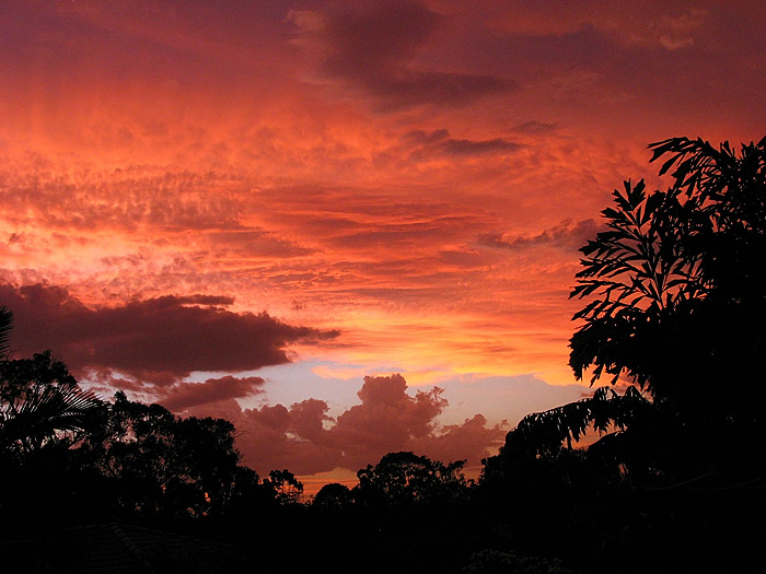 Pretty Sunset Picy *