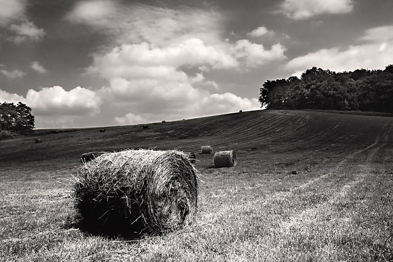 5th Place Balle De Foin En Noir Er Blanc by Andy Syed