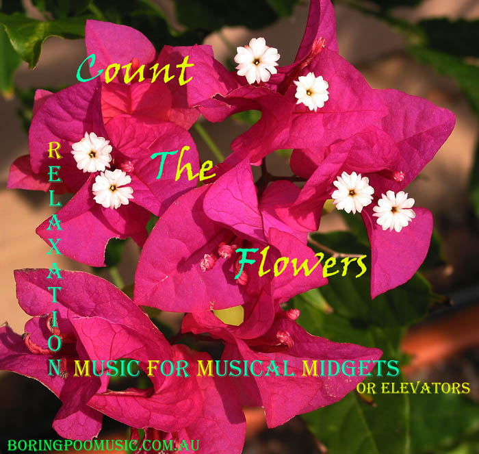 Count The Flowers *