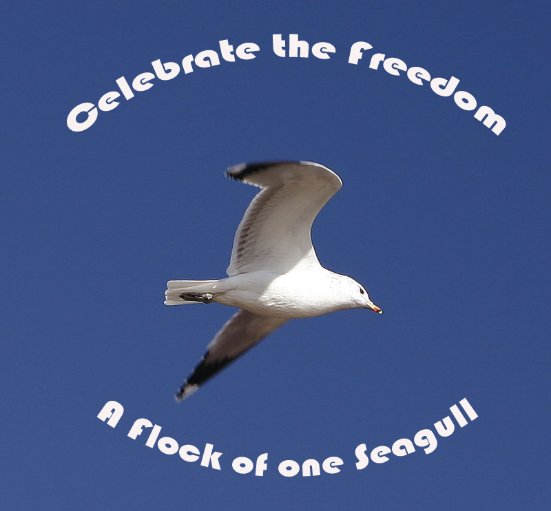 Celebrate the Freedom*