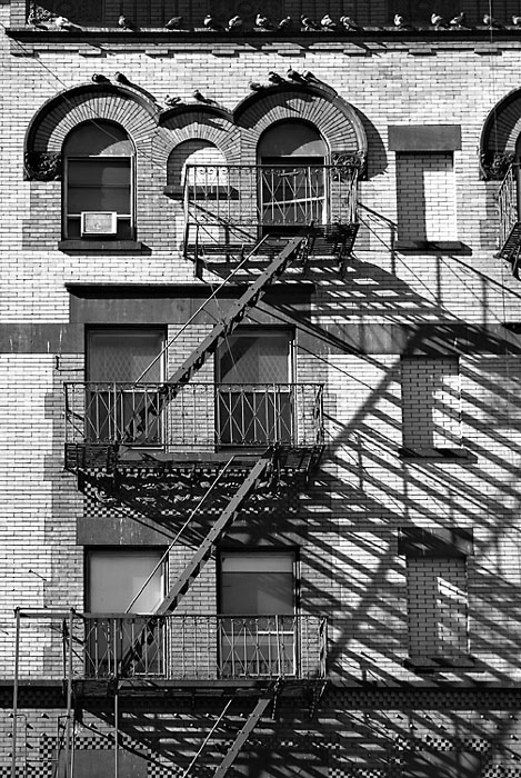 Shadow Escape *