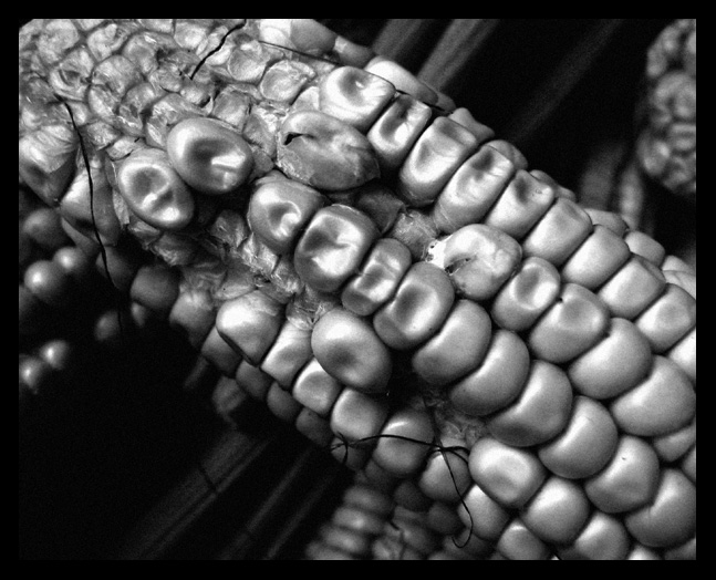 elote *
