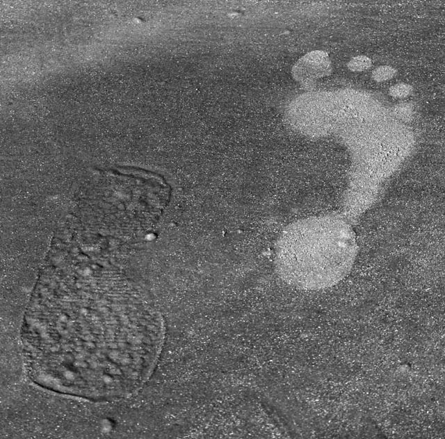 <B>Coming and Going</b> *
