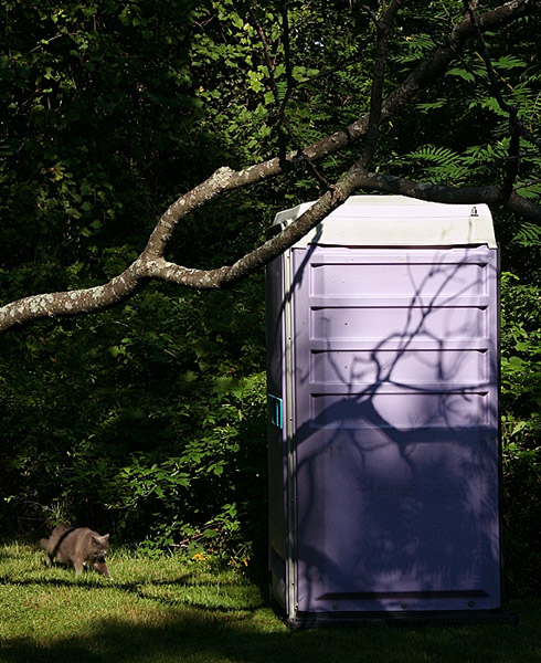 The Lovely Lavender Loo (*)