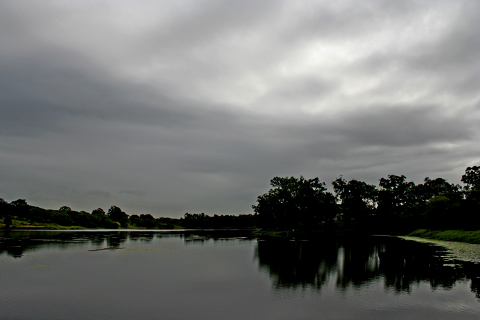 Tingalpa Creek *