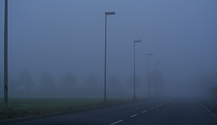 * Road to Nowhere