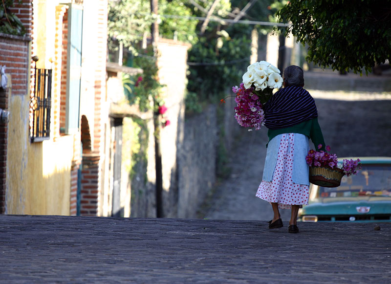 Alone with my flowers*