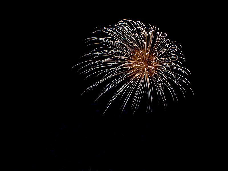 Firework *