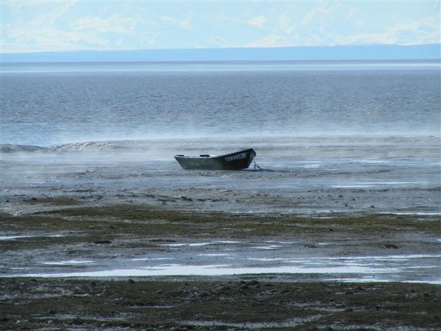 last boat *