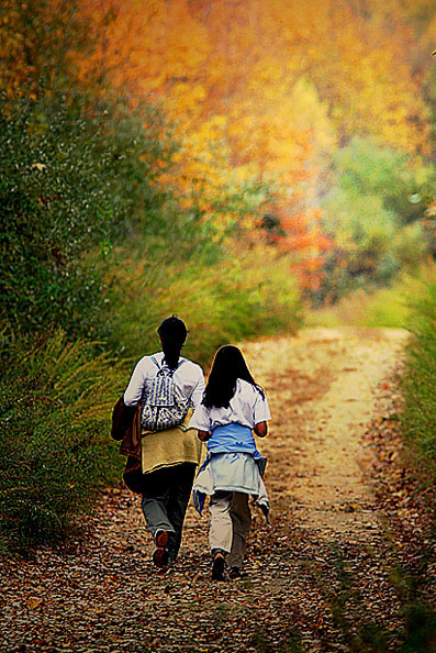 We Walk Alone Together
