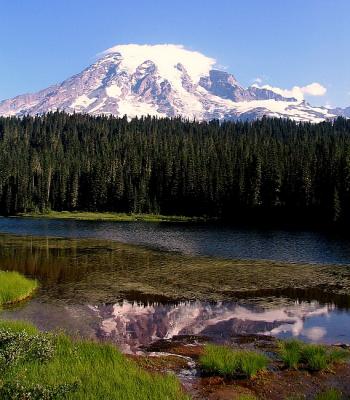 Reflection Lake*