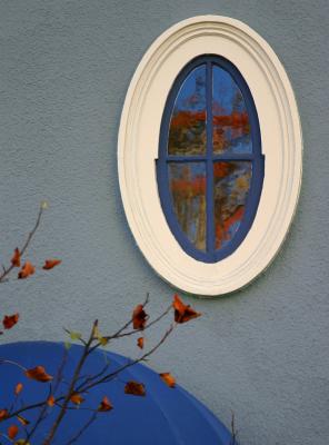 Reflected leaves *