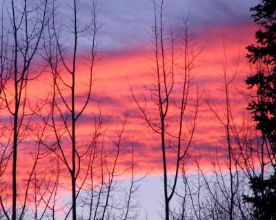 Alaskan Sunset*
